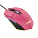 RATON TRUST GXT 109 FELOX PK RATON TRUST GXT 109 FELOX PK