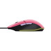 RATON TRUST GXT 109 FELOX PK RATON TRUST GXT 109 FELOX PK