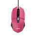RATON TRUST GXT 109 FELOX PK RATON TRUST GXT 109 FELOX PK
