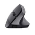 MOUSE TRUST TM-270 ERGONOMICO INALAMBRICO CON ANGULO MOUSE TRUST TM-270 ERGONOMICO INALAMBRICO CON ANGULO