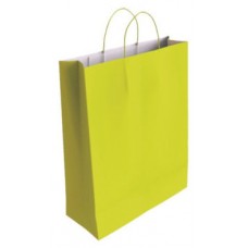 Bismark 329823 bolsa de papel Verde (MIN25) (Espera 4 dias)