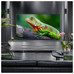 TELEVISOR LG 50QNED84A6C TELEVISOR LG 50QNED84A6C