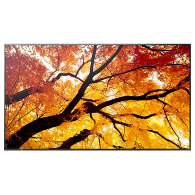 Sharp MultiSync M982 Panel plano interactivo 2,48 m (97.5") LED 550 cd / m&sup2; 4K Ultra HD Negro 24/7 (Espera 4 dias)