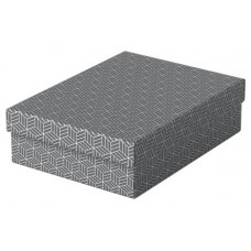 PACK 3 CAJAS GRISES 360X265X100MM ESSELTE 628285 (Espera 4 dias)