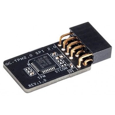 MODULO TPM GIGABYTE GC-TPM2.0 SPI 2.0