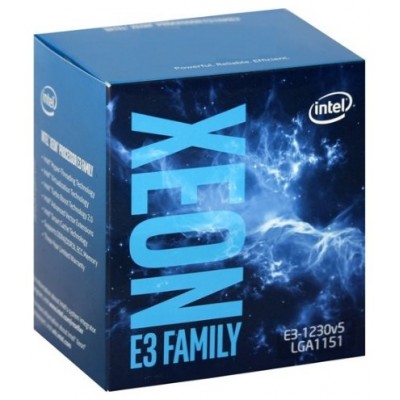 INTEL XEON QUAD CORE E3-1230V6 (Espera 4 dias)