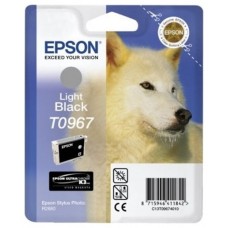 Epson Stylus Photo R2880 Cartucho Gris