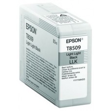 TINTA EPSON C13T850900 NEGRO LIGHT (Espera 4 dias)