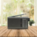 DAE-RADIO DW1035 DAE-RADIO DW1035