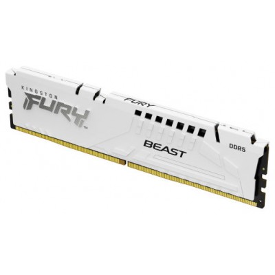 Kingston Technology FURY Beast módulo de memoria 16 GB 1 x 16 GB DDR5 (Espera 4 dias)