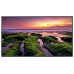 (NUEVO 2022) MONITOR SAMSUNG DIGITAL SIGNAGE UHD 65" (QB65R-E) / 3840x2160(16:9) /4700:1 /350CD/M2 / USO 16/7 /DVI-D / HDMI (2) / HDCP / USB (2) / IN-OUT JACK ST / RS232C(IN/OUT), RJ45/SOC / SSSP 6.0/ MM / WIFI+BT (LH65QBBEBGCXEN) (Espera 4 dias)