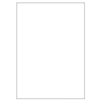 CAJA 100 HOJAS ETIQUETAS BLANCAS SIN MÁRGENES-LÁSER/INYECCIÓN DE TINTA/FOTOCOPIADORAS-210X297 MM MEGASTAR LP4MS-210297 (Espera 4 dias)