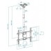 Tooq LPCE1186TSLI-B Soporte techo TV 43"-86"