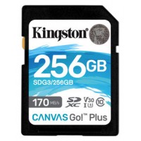MEMORIA SD 256GB KINGSTON SDXC CANVAS GO PLUS 170R C10 · (Espera 4 dias)