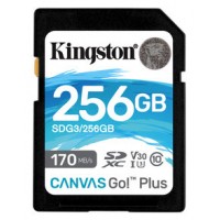 Kingston Technology Canvas Go! Plus memoria flash 256 GB SD Clase 10 UHS-I (Espera 4 dias)